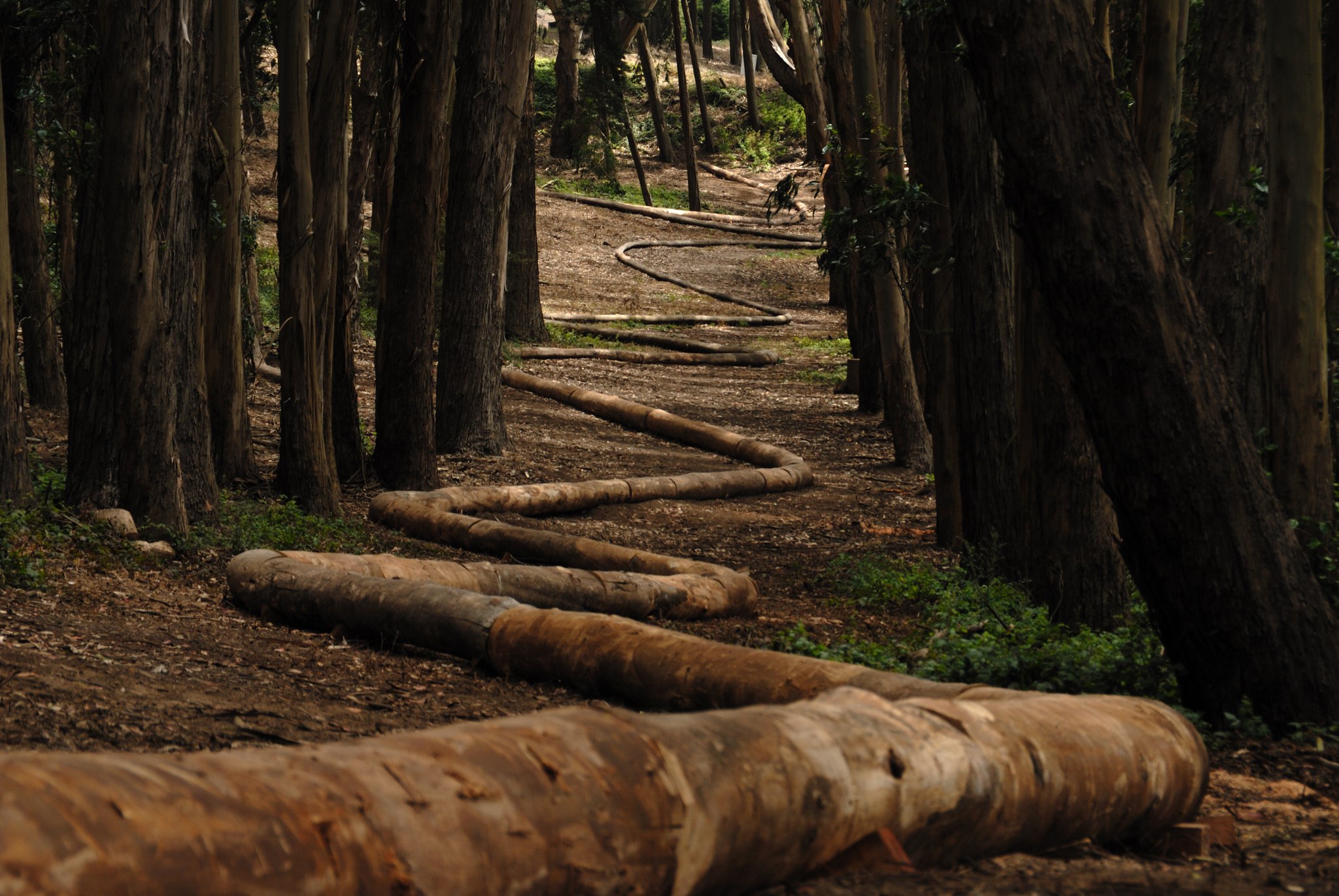 goldsworthy